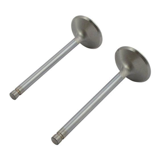 Race Master exhaust valve set. STD